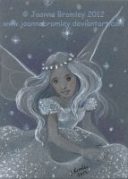 Winter Fairy